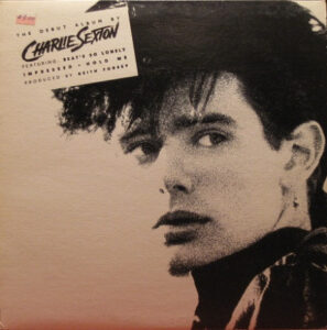 Album cover of Charlie Sexton - Pictures For Pleasure