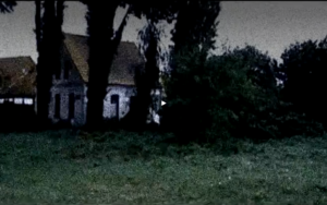 Skinny Puppy – Love in Vein